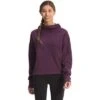 The North Face Canyonlands Pullover Crop Fleece Women's -The North Face Shop 103821 BLACKBRRYWNEHTR m