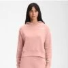 The North Face Simple Logo Hoodie Women's -The North Face Shop 105454 EVENING SAND PINK m