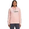 The North Face Graphic Injection Hoodie Women's -The North Face Shop 106694 EVN SND PKMTLC SLVR m
