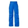 The North Face Freedom Insulated Pants Boys'