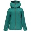 Spyder Jagged Shell Jacket Women's -The North Face Shop 18925 BALTICBALTICBALTIC m