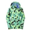 The North Face Straight-Shot Jacket Women's -The North Face Shop 2880 RETRO GRN FLORAL PRT m