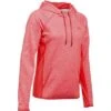 Under Armour Fleece Hoodie Twist Women's 1 Under Armour Fleece Hoodie Twist Women's -The North Face Shop 34341 MTHNRDMTHNRDMTHNRD m