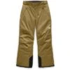 The North Face Freedom Insulated Snow Pants Boys' 2 The North Face Freedom Insulated Snow Pants Boys' -The North Face Shop 37006 BRTSKHKBRTSKHK m