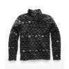 The North Face Novelty Gordon Lyons 1/4 Zip Fleece Men's -The North Face Shop 37025 TNFBLKTRGLSTRPT m