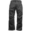 The North Face Seymore Shell Snow Pants Men's -The North Face Shop 37098 ASPHALT GREY m