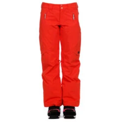 DC SHOES DC Ace Pant Women's