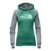 The North Face Half Dome Hoodie Women's -The North Face Shop 7928 AGTE GRN HTRAMB GRN m