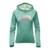 The North Face Fave Half Dome Pullover Hoodie Women's -The North Face Shop 8256 AG GRN HTAB GN MLTI m