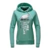 The North Face Trivert Pullover Hoodie Women's -The North Face Shop 8309 AGATE GRNSILVR FOIL m