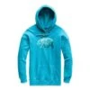 The North Face Bearscape Tri-Blend Pullover Hoodie Women's -The North Face Shop 89671 CRYSTAL TEAL HEATHER m