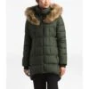 The North Face Dealio Down Parkina Parka Women's -The North Face Shop 91412 NEW TAUPE GREEN m