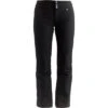 NILS Addison 2.0 Insulated Snow Pants Women's -The North Face Shop 93018 BLACK m