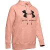 Under Armour Rival Fleece Sportstyle Graphic Hoodie Women's 2 Under Armour Rival Fleece Sportstyle Graphic Hoodie Women's -The North Face Shop 95589 CALLAMDHRCALAJT GR m