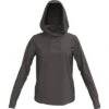 Under Armour Coldgear Infrared Hoodie Women's -The North Face Shop 99170 FRESH CLAYPEWTER m